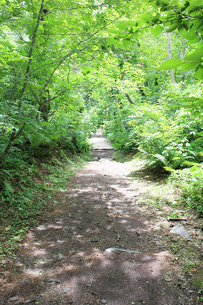 Goshikinuma ponds 五色沼