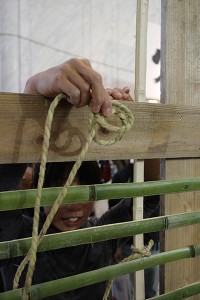 starting tying bamboo lattice